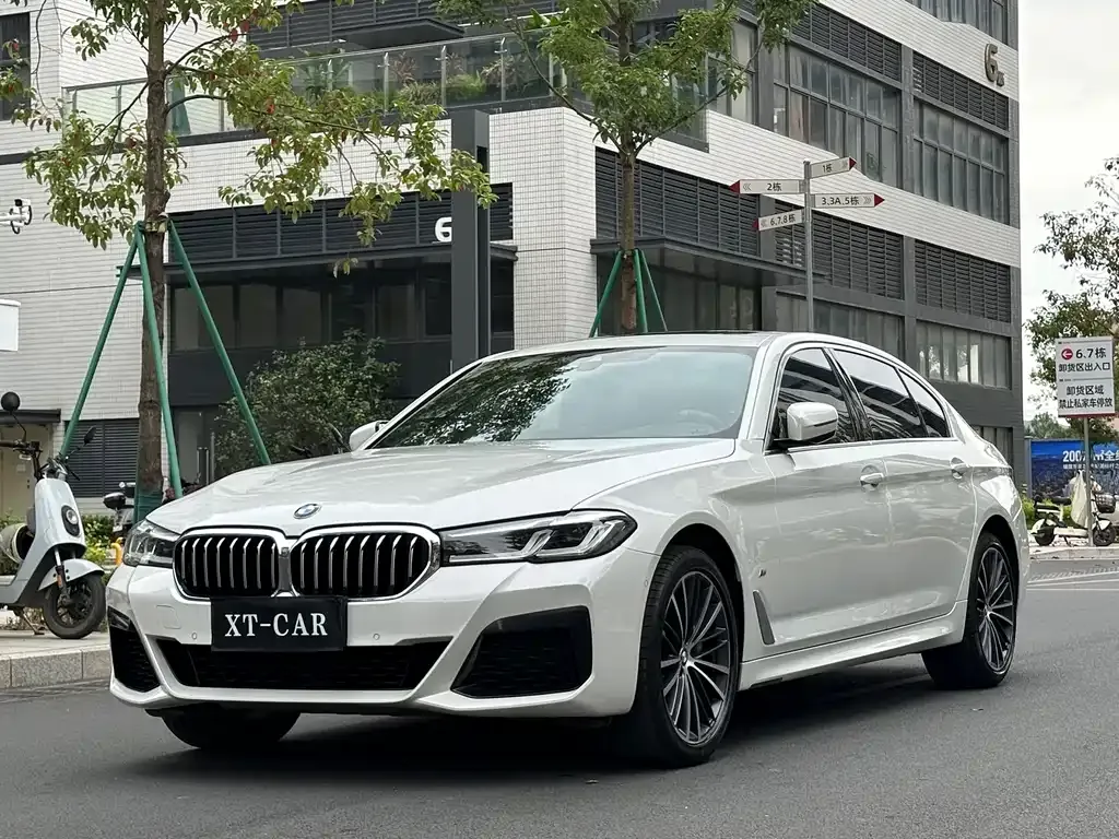 BMW 5 Series 2021 из CN, фото 1