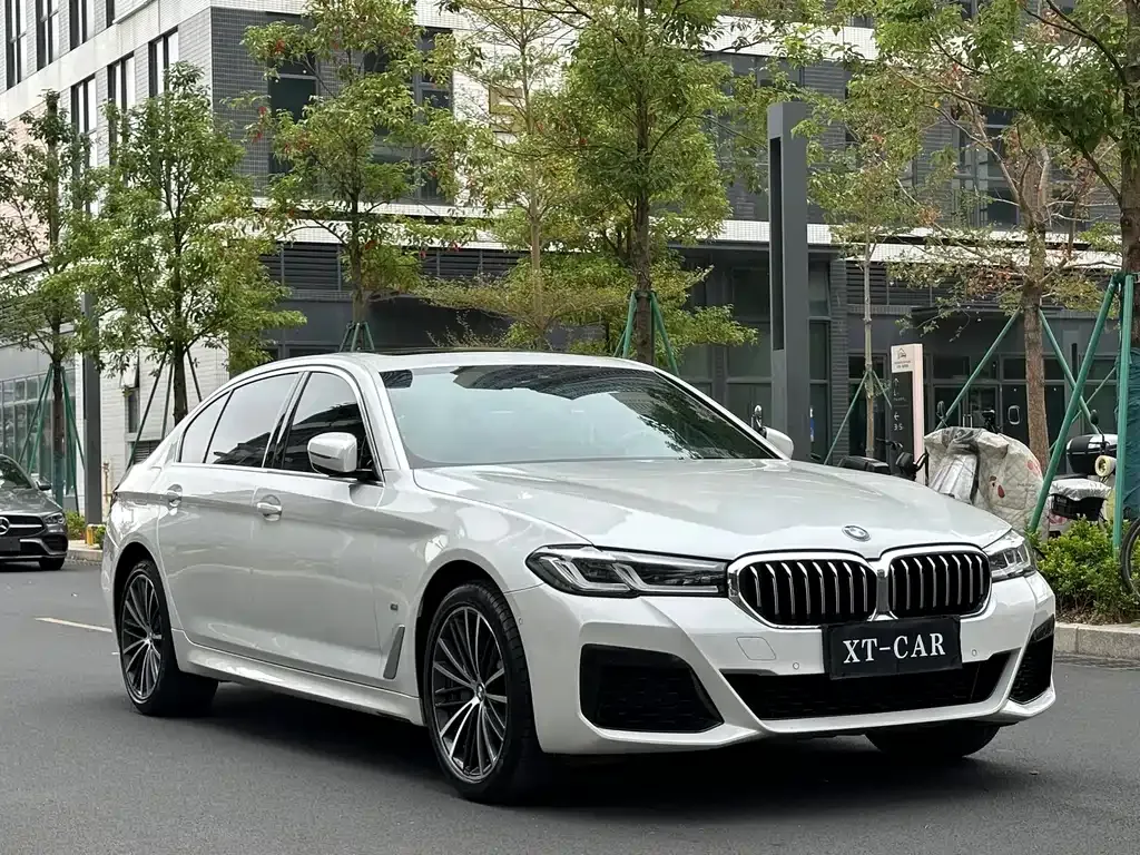 BMW 5 Series 2021 из CN, фото 10