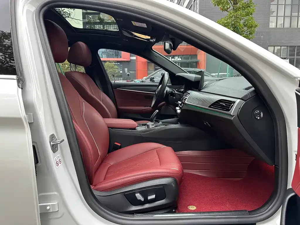 BMW 5 Series 2021 из CN, фото 5