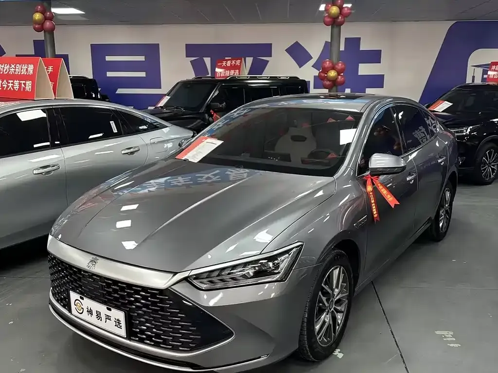 BYD Qin PLUS 2023 из CN, фото 1
