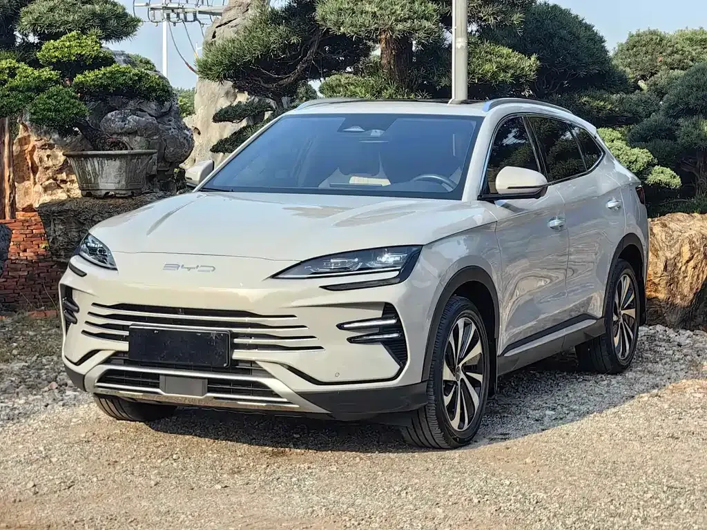 BYD PLUS New Energy 2024 из CN, фото 1