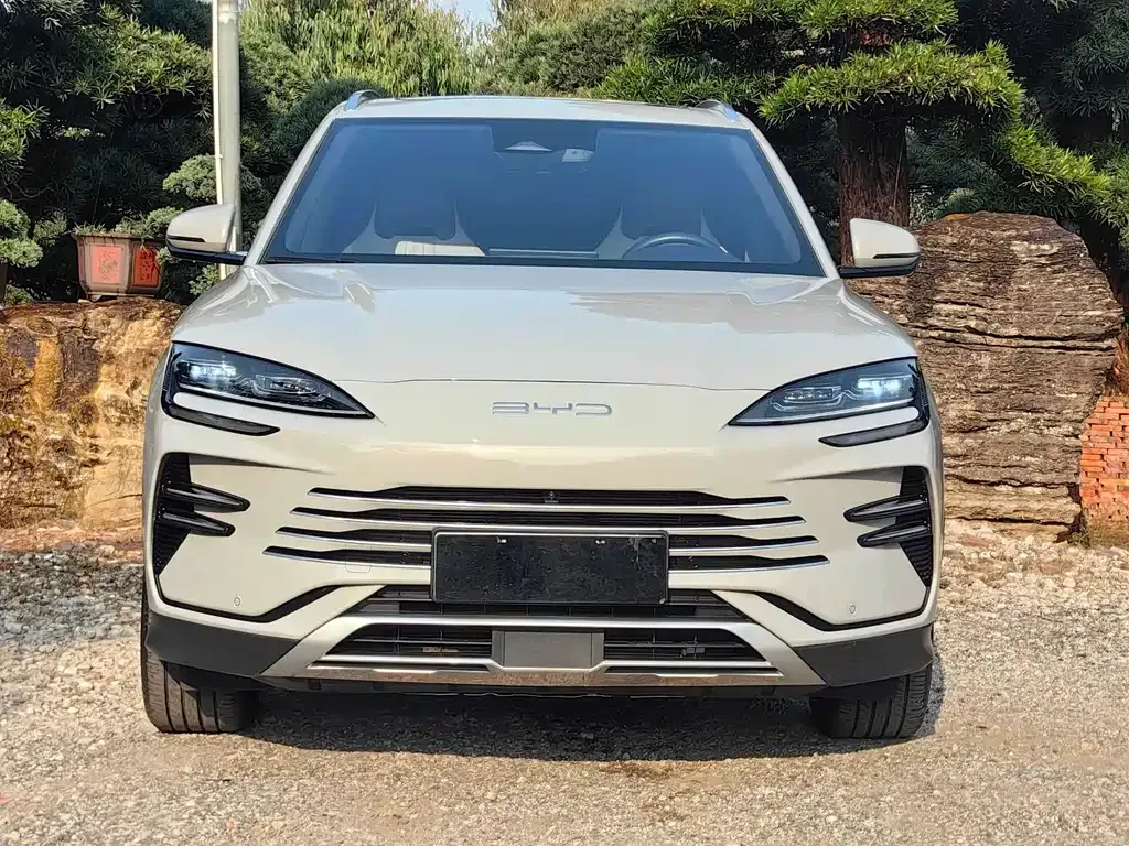 BYD PLUS New Energy 2024 из CN, фото 4