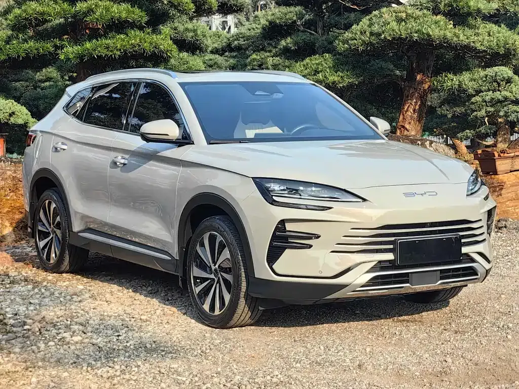 BYD PLUS New Energy 2024 из CN, фото 10