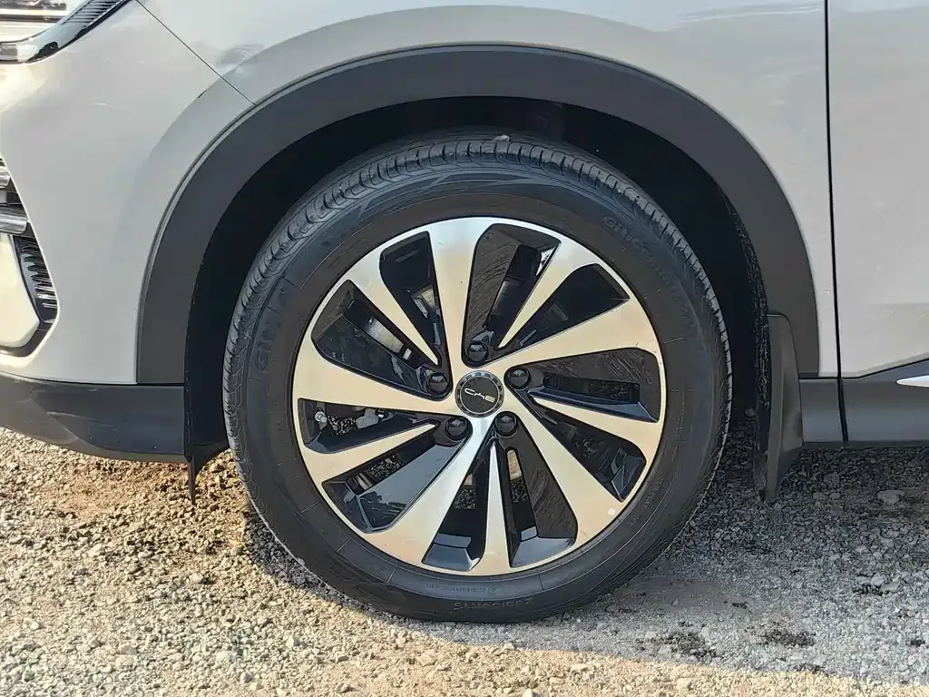 BYD PLUS New Energy 2024 из CN, фото 5