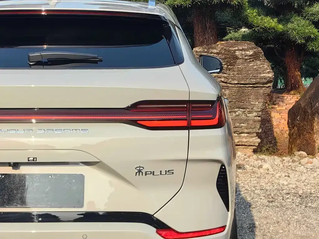 BYD PLUS New Energy 2024 из CN, фото 3