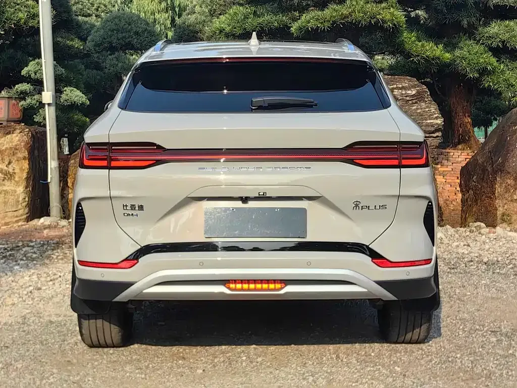 BYD PLUS New Energy 2024 из CN, фото 6