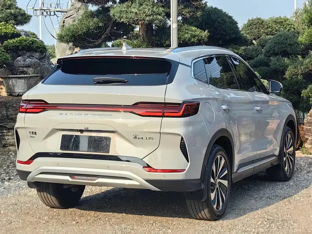 BYD PLUS New Energy 2024 из CN, фото 9