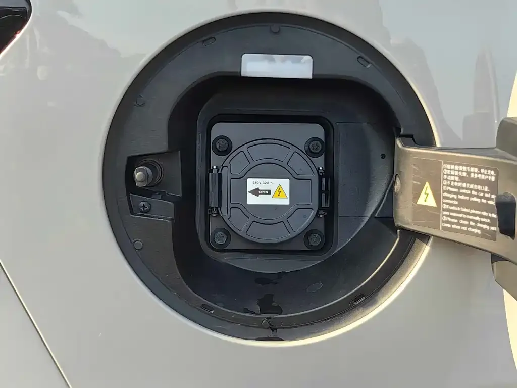 BYD PLUS New Energy 2024 из CN, фото 2