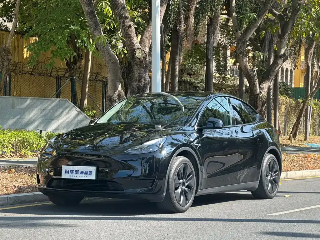 Tesla Model Y 2024 из CN, фото 1