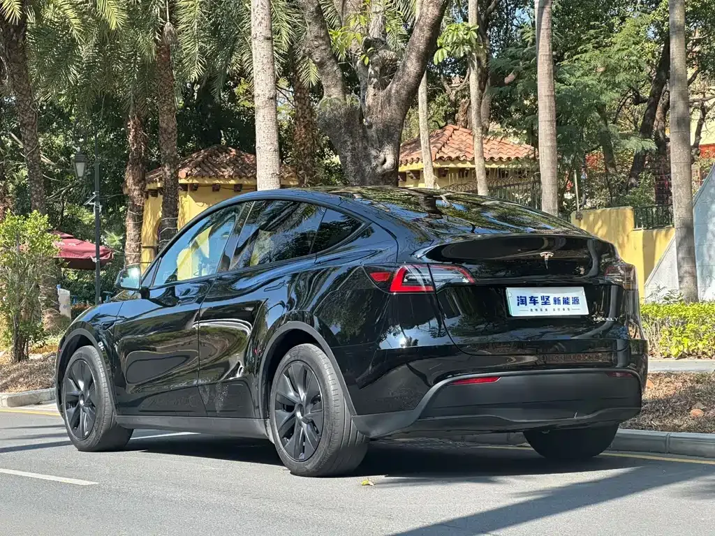 Tesla Model Y 2024 из CN, фото 6
