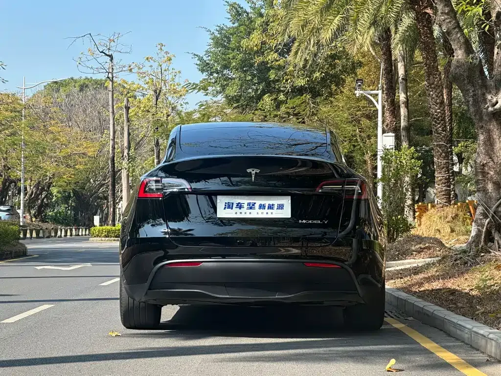 Tesla Model Y 2024 из CN, фото 10