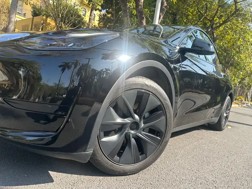 Tesla Model Y 2024 из CN, фото 8