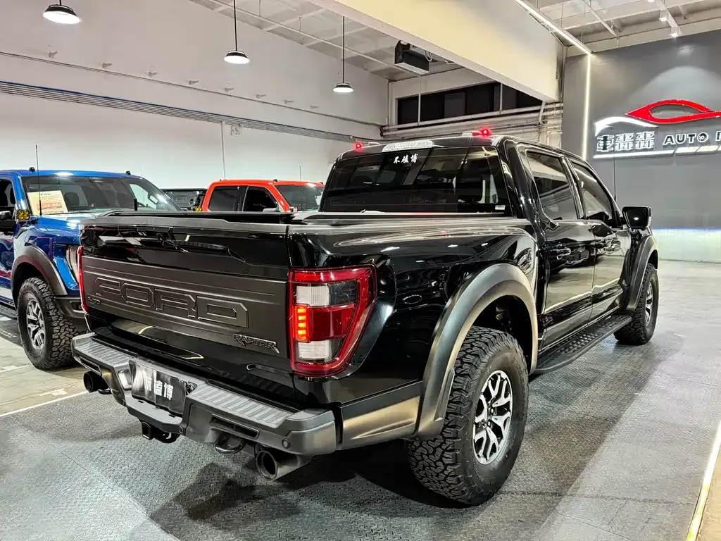 Ford F-150 Raptor 2024 из CN, фото 5