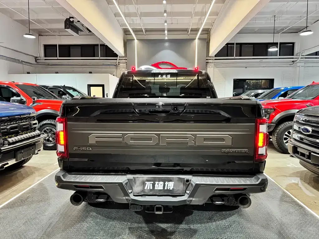 Ford F-150 Raptor 2024 из CN, фото 4