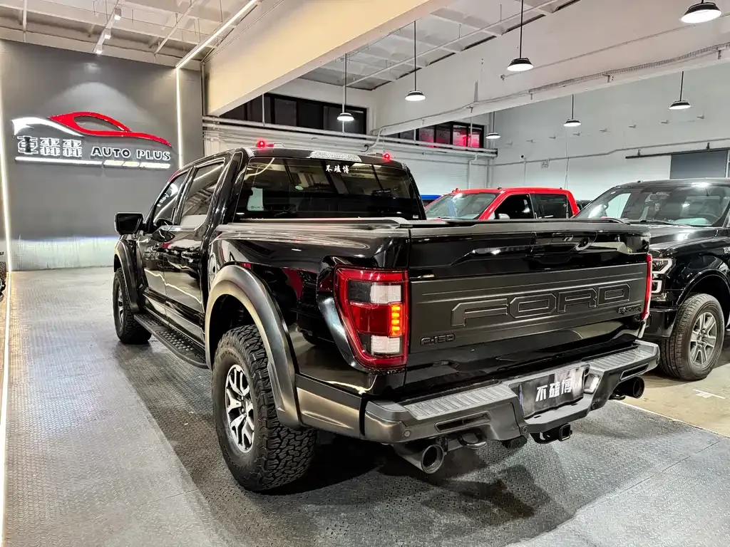 Ford F-150 Raptor 2024 из CN, фото 7