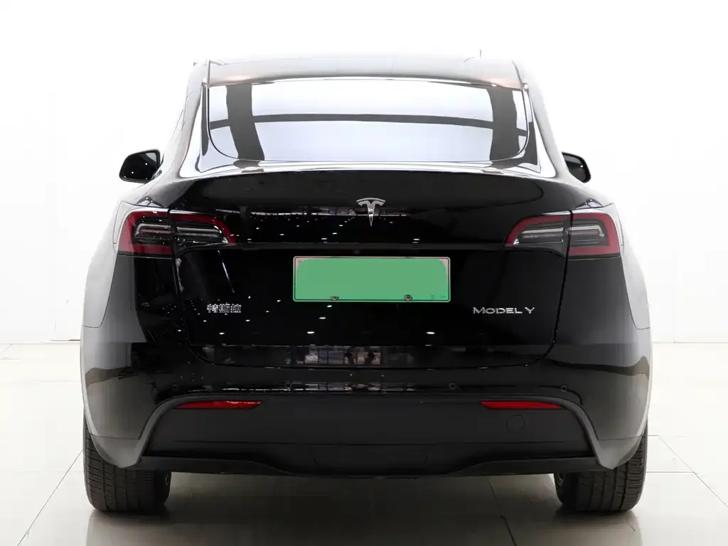 Tesla Model Y 2023 из CN, фото 8