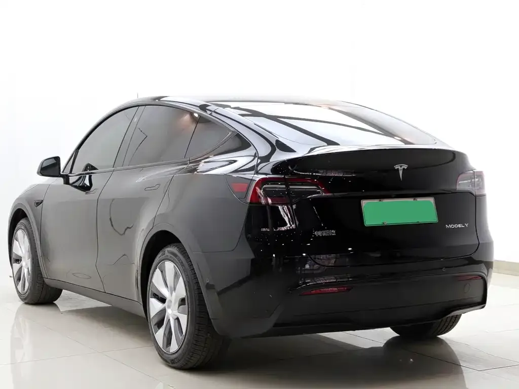 Tesla Model Y 2023 из CN, фото 6