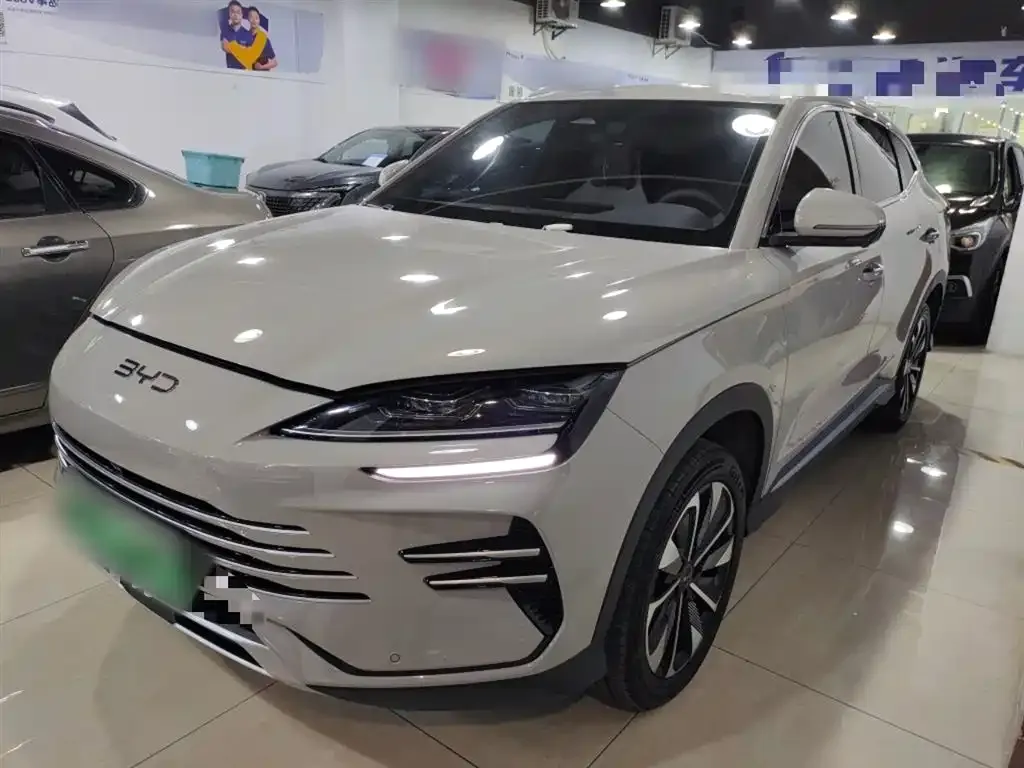 BYD PLUS New Energy 2024 из CN, фото 1