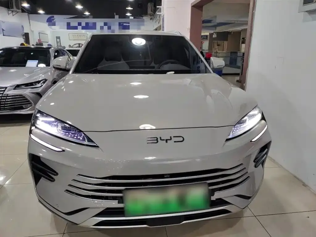 BYD PLUS New Energy 2024 из CN, фото 2