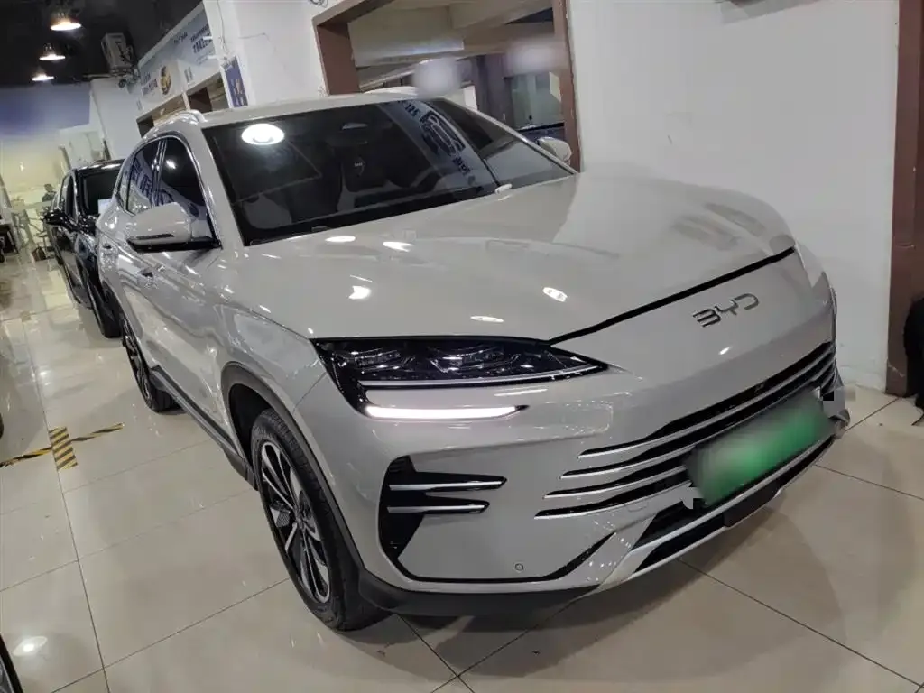 BYD PLUS New Energy 2024 из CN, фото 4