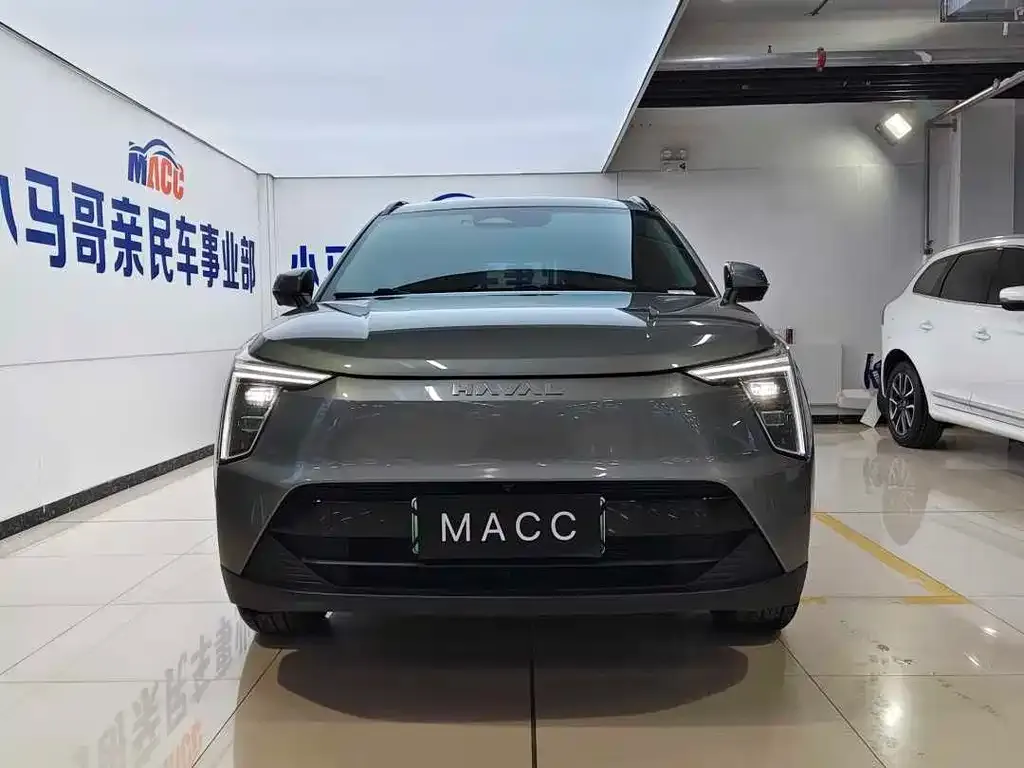 Haval Xiaolong
