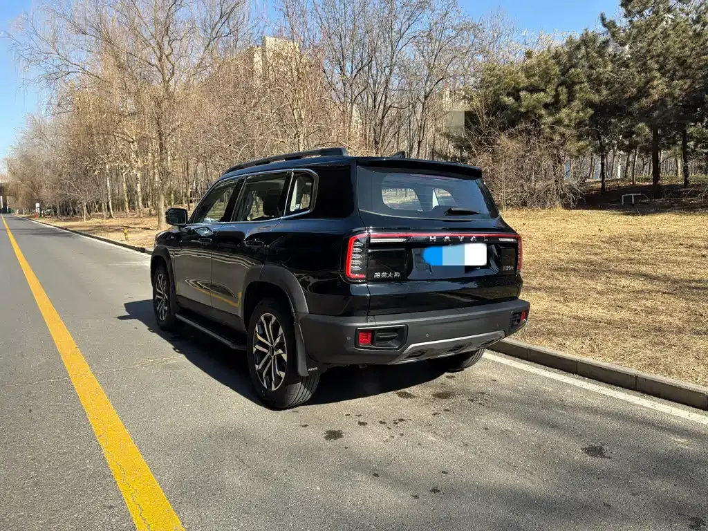 Haval Big Dog 2025 из CN, фото 4