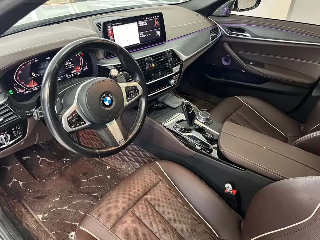 BMW 5 Series 2021 из CN, фото 4