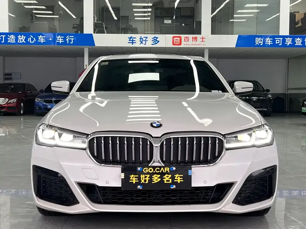 BMW 5 Series 2021 из CN, фото 10