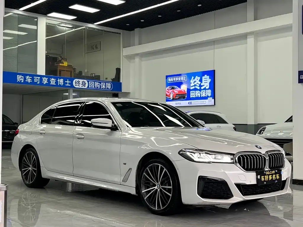 BMW 5 Series 2021 из CN, фото 2