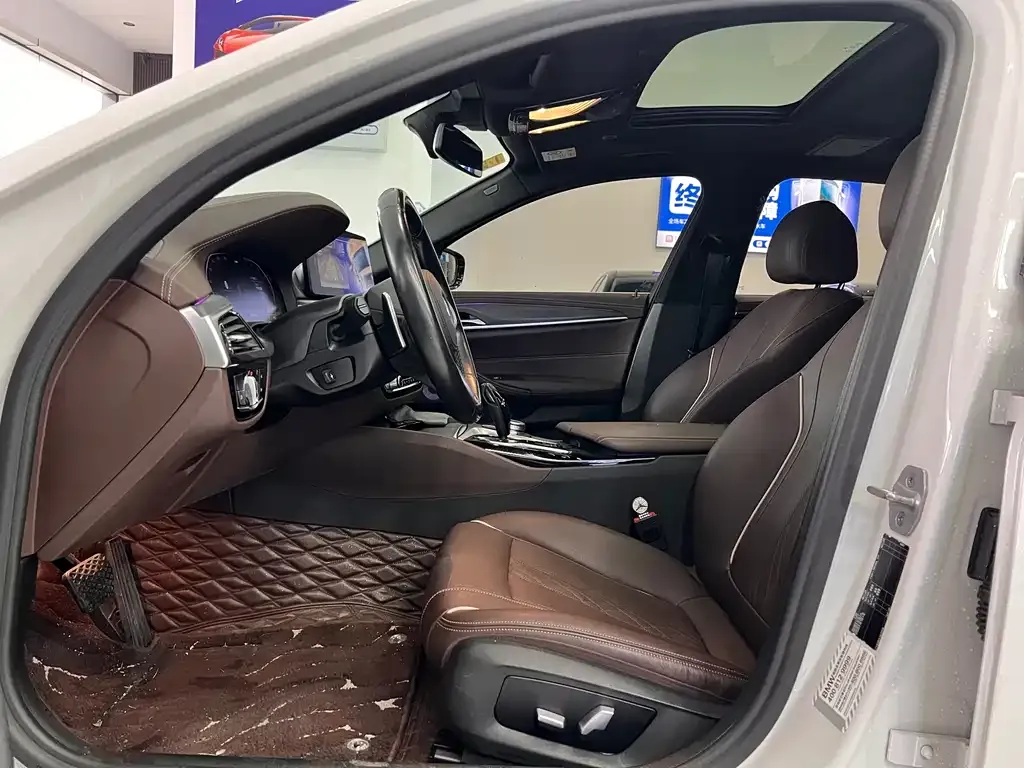 BMW 5 Series 2021 из CN, фото 8