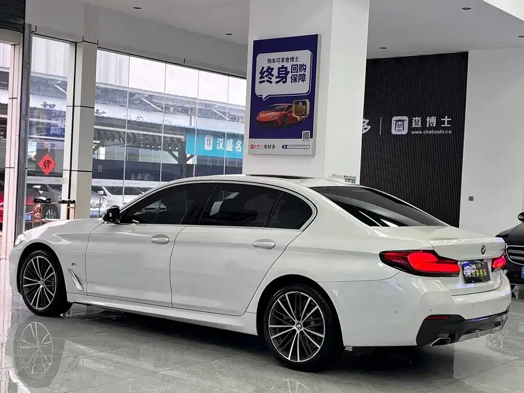 BMW 5 Series 2021 из CN, фото 5
