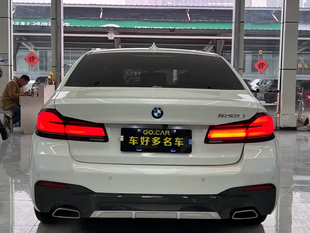 BMW 5 Series 2021 из CN, фото 3
