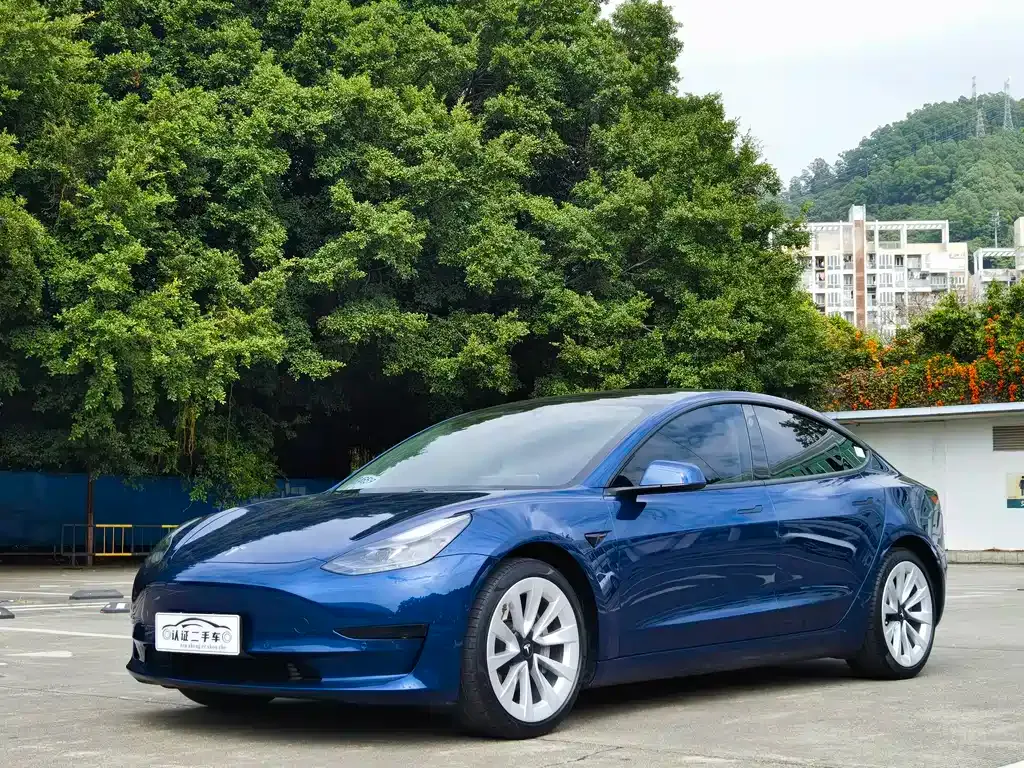 Tesla Model 3 2021 из CN, фото 1