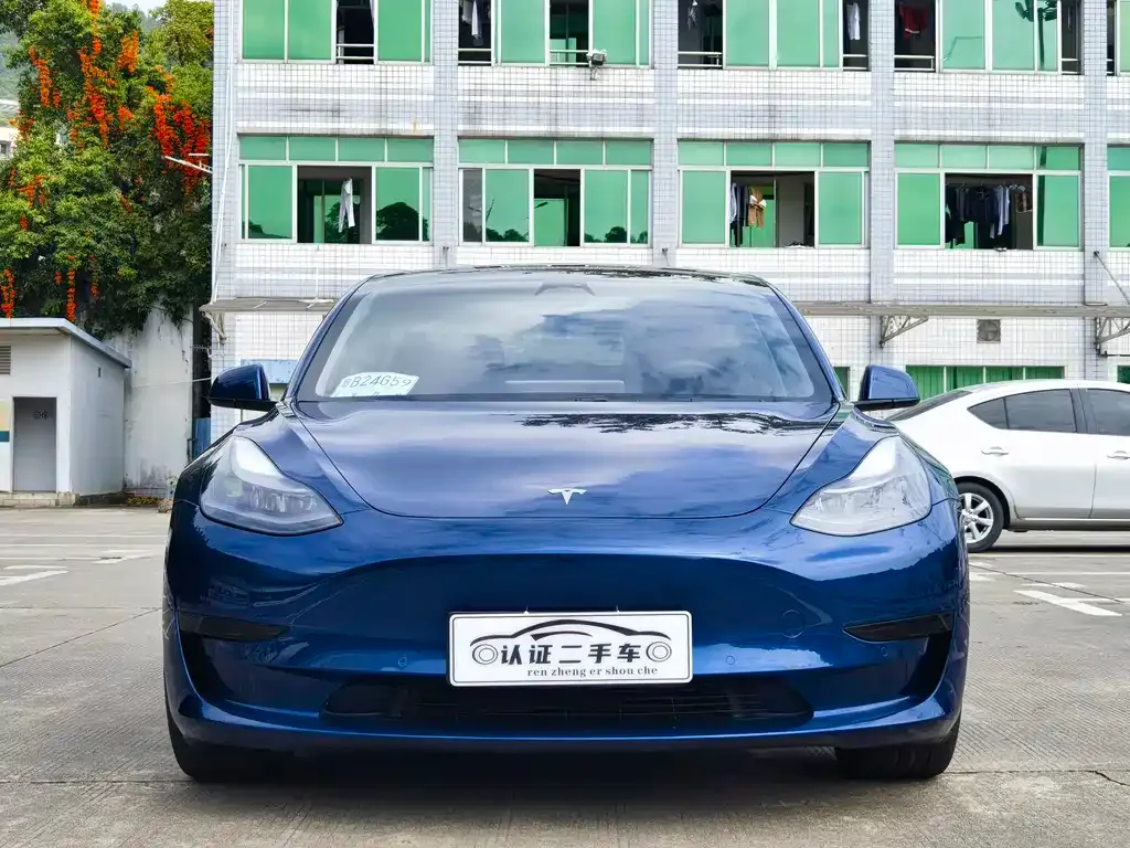 Tesla Model 3 2021 из CN, фото 9