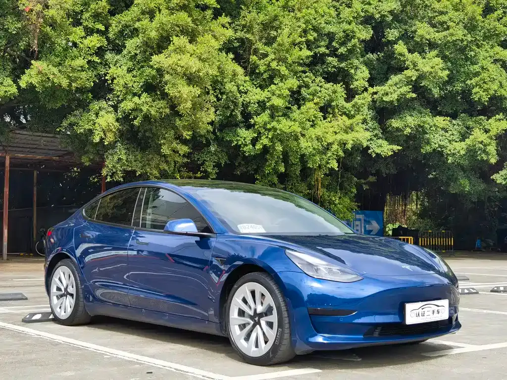 Tesla Model 3 2021 из CN, фото 10
