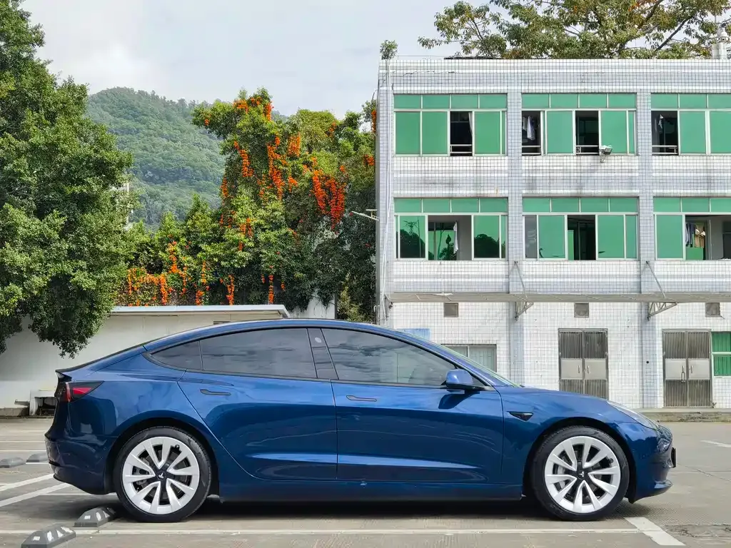 Tesla Model 3 2021 из CN, фото 8