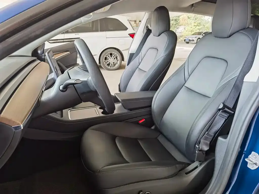 Tesla Model 3 2021 из CN, фото 2