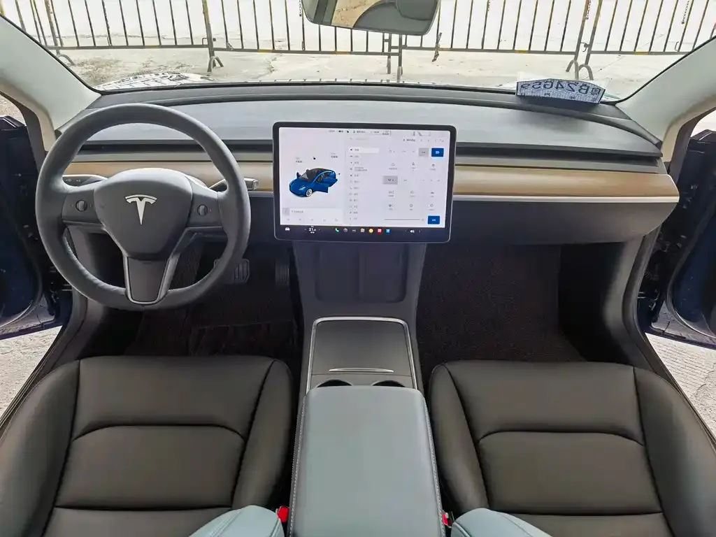 Tesla Model 3 2021 из CN, фото 6