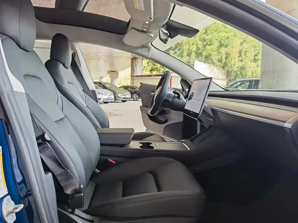 Tesla Model 3 2021 из CN, фото 5