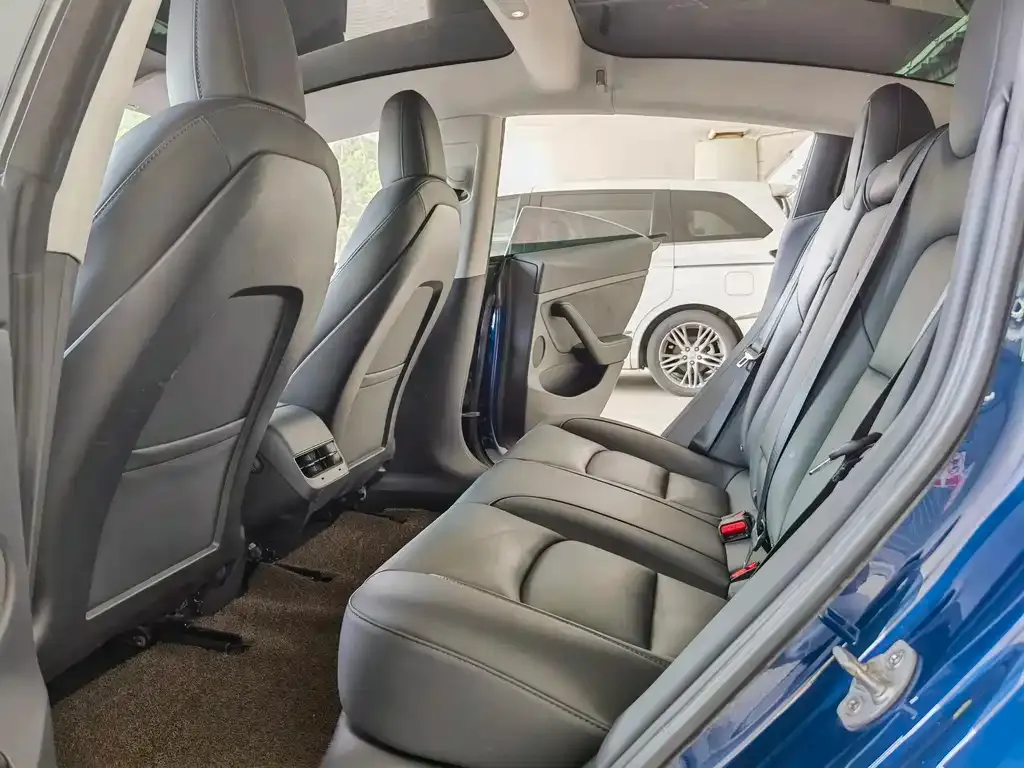 Tesla Model 3 2021 из CN, фото 4