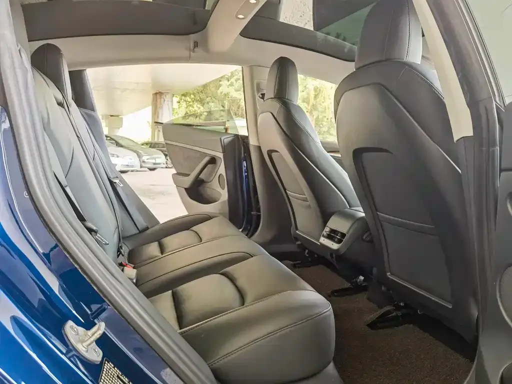 Tesla Model 3 2021 из CN, фото 3