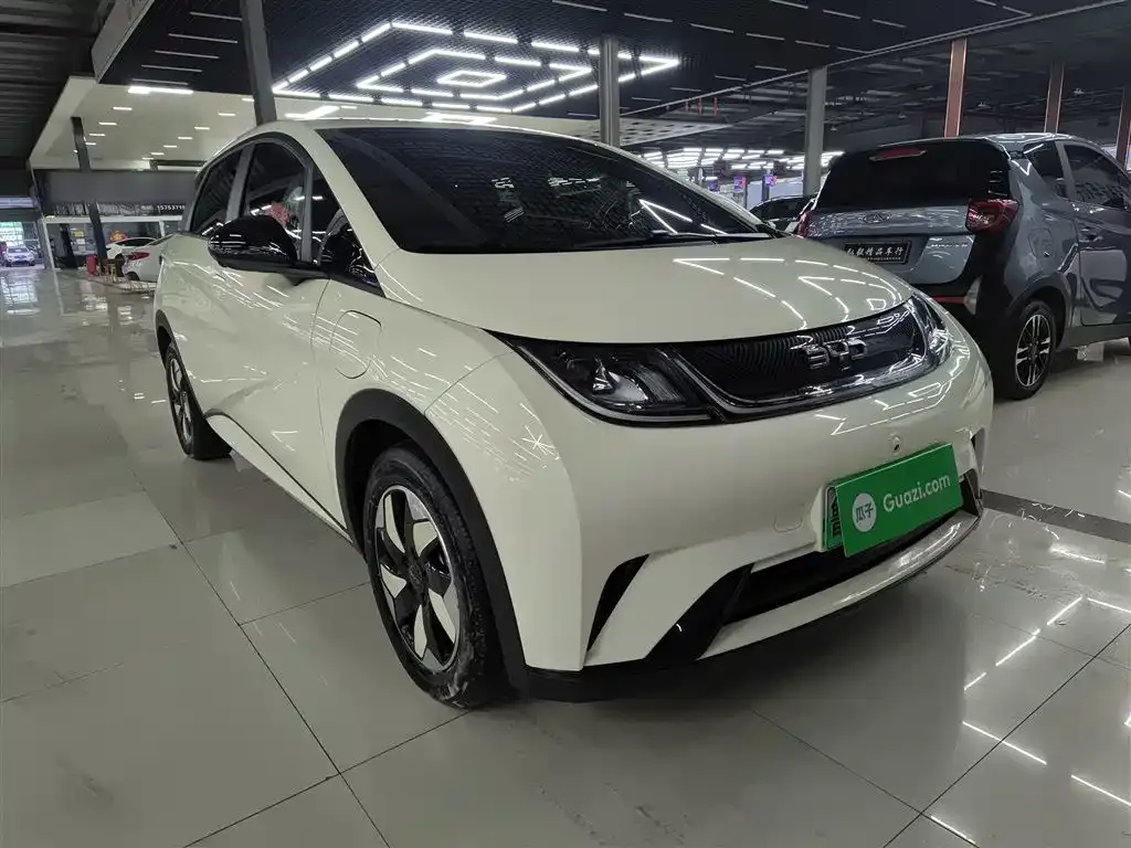 BYD Dolphin 2025 из CN, фото 2