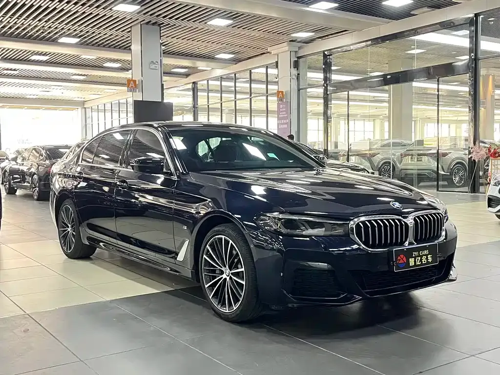 BMW 5 Series 2023 из CN, фото 5