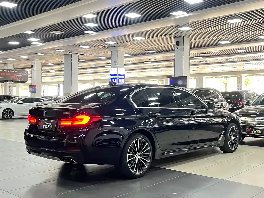 BMW 5 Series 2023 из CN, фото 8