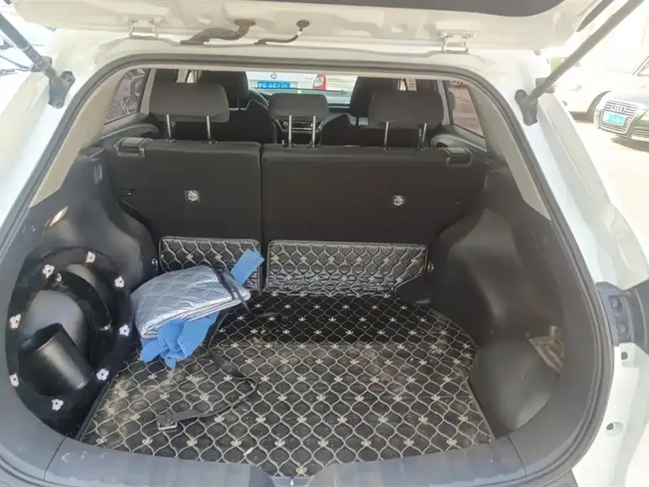 Toyota Frontlander 2023 из CN, фото 6
