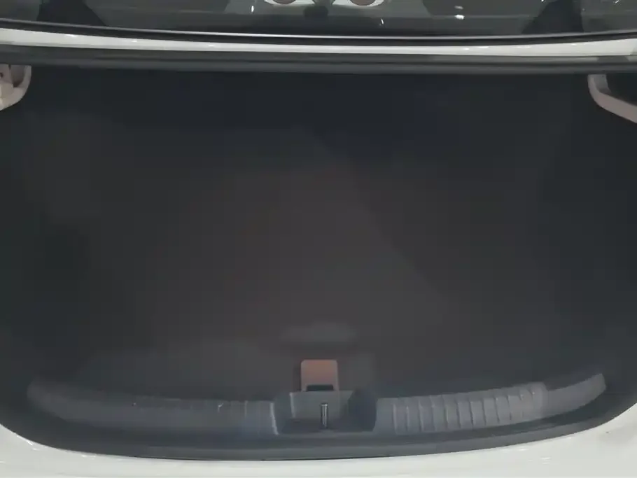 Volkswagen Sagitar 2022 из CN, фото 2