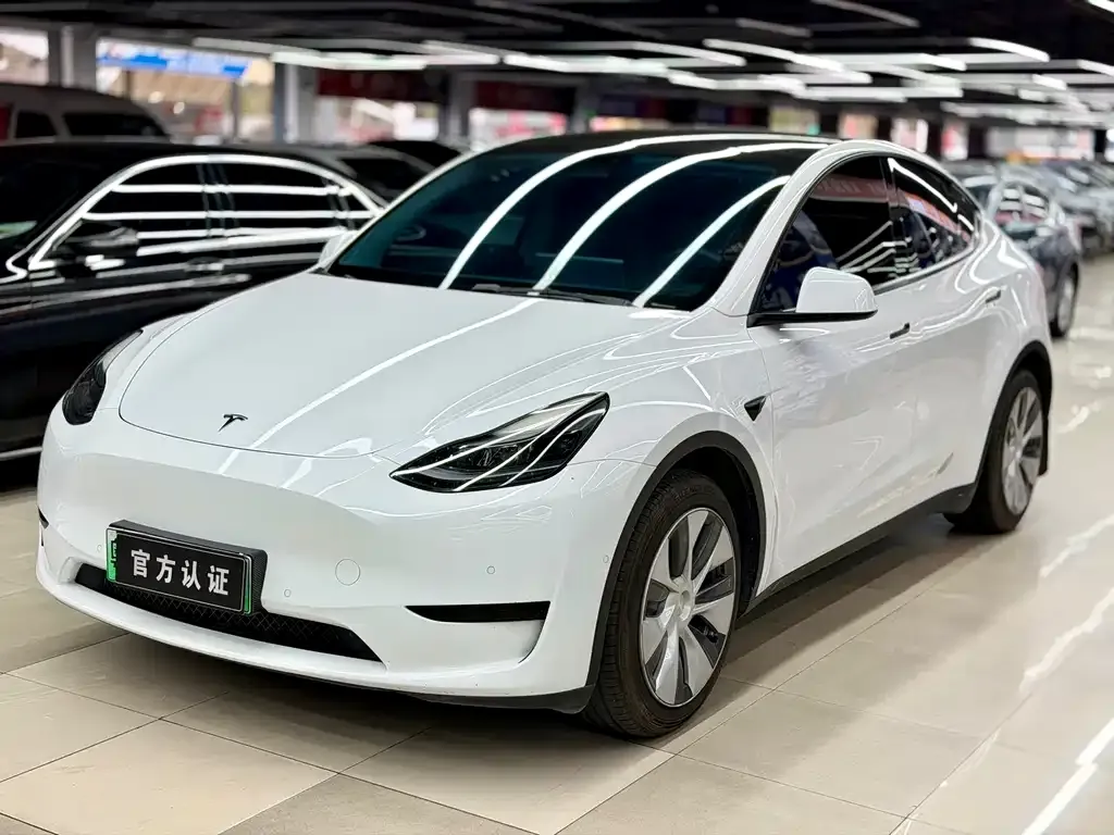 Tesla Model Y 2022 из CN, фото 1