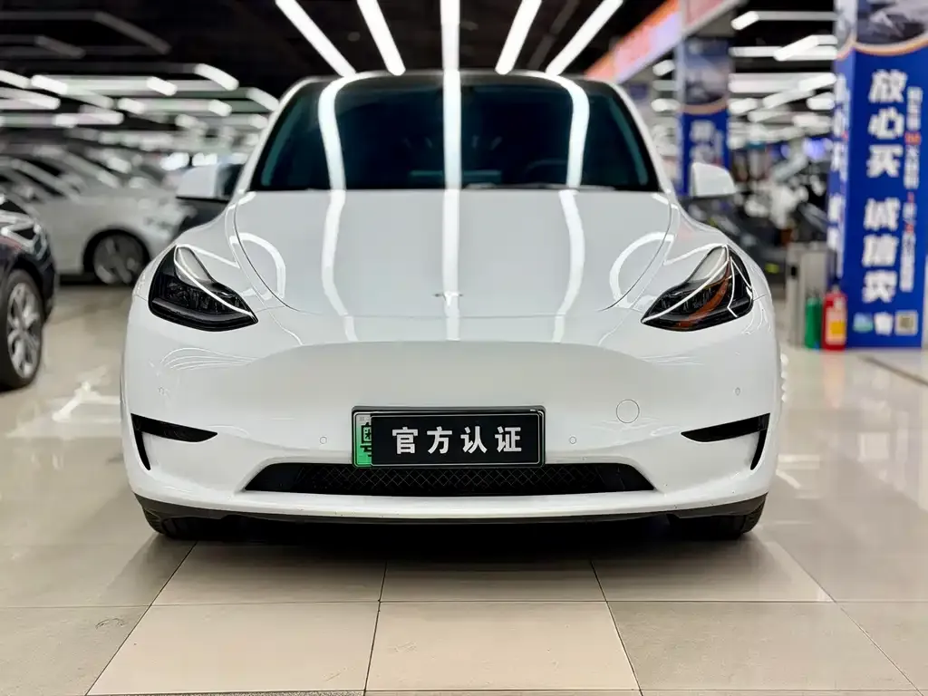 Tesla Model Y 2022 из CN, фото 4