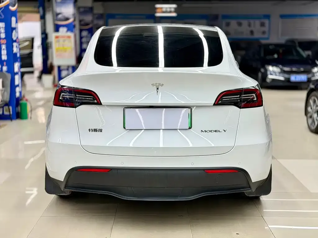Tesla Model Y 2022 из CN, фото 7