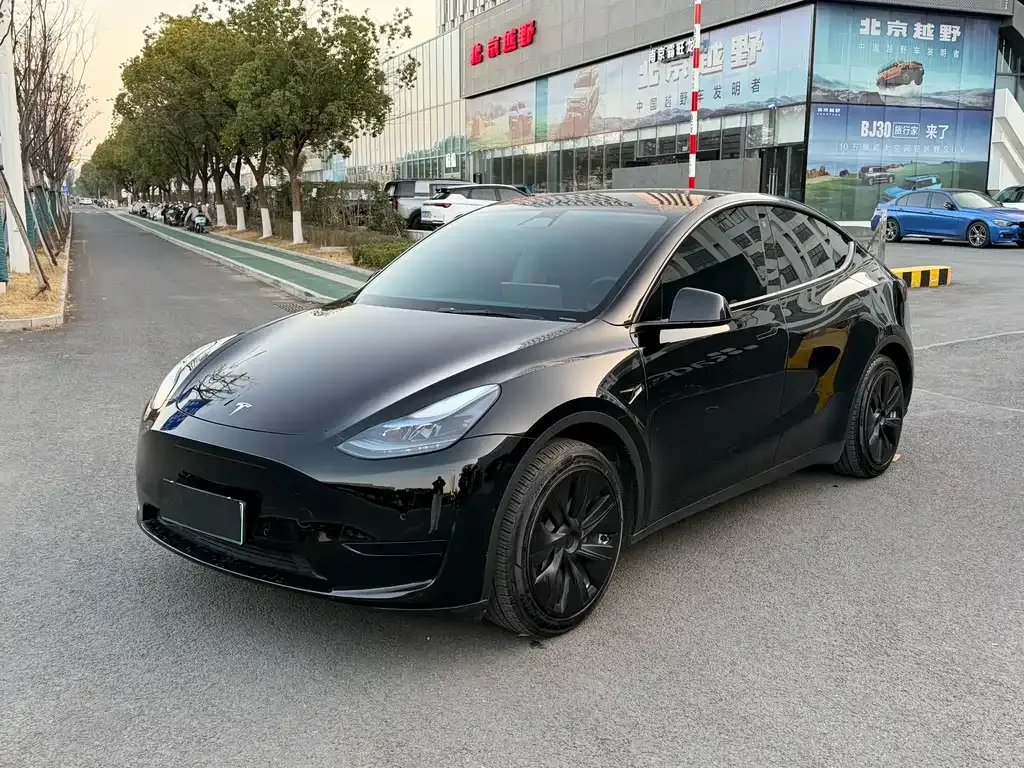 Tesla Model Y 2023 из CN, фото 1
